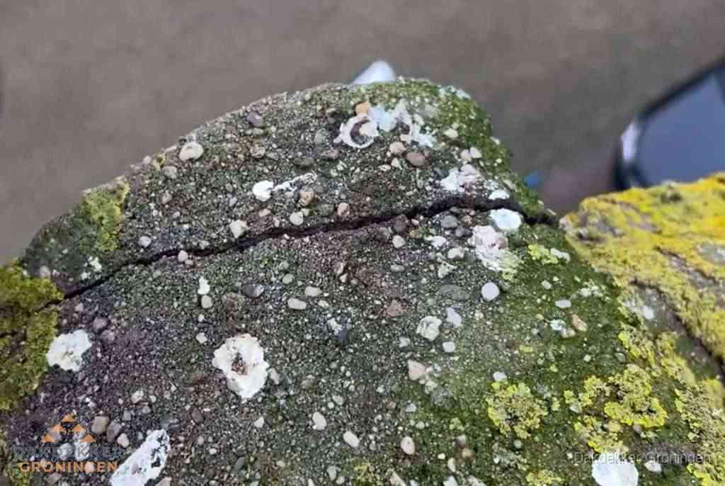 Plat dak aanbouw met bitumen dakbedekking in woonwijk Groningen Plat dak aanbouw met bitumen dakbedekking in woonwijk Groningen