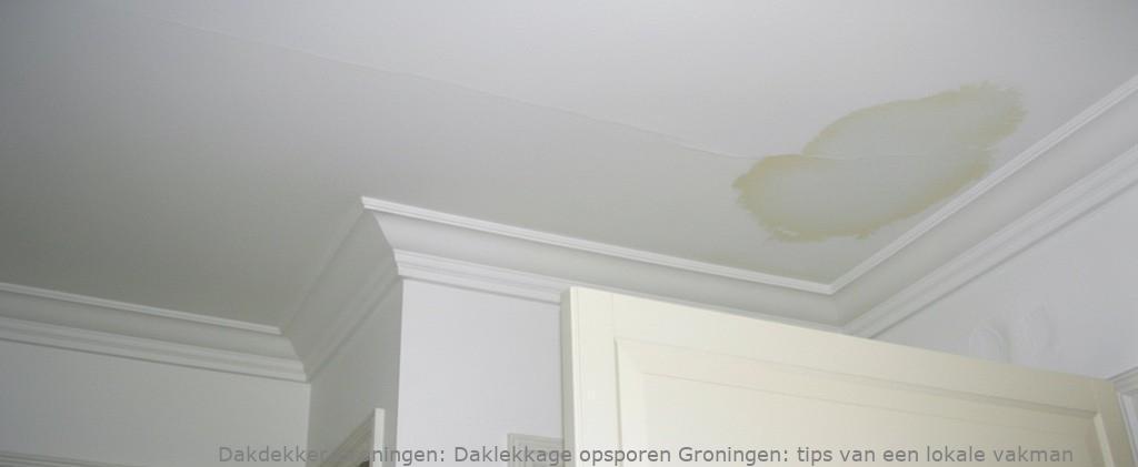 Daklekkage Opsporen Groningen 1