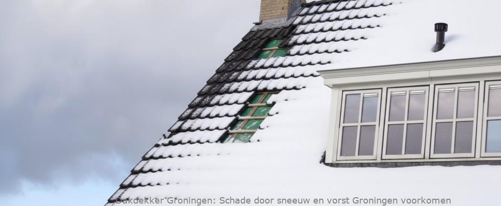 Schade Door Sneeuw En Vorst Groningen