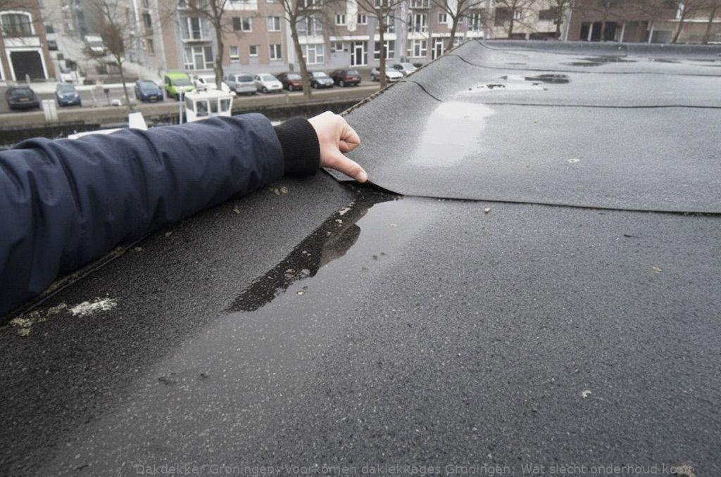 Voorkomen Daklekkages Groningen